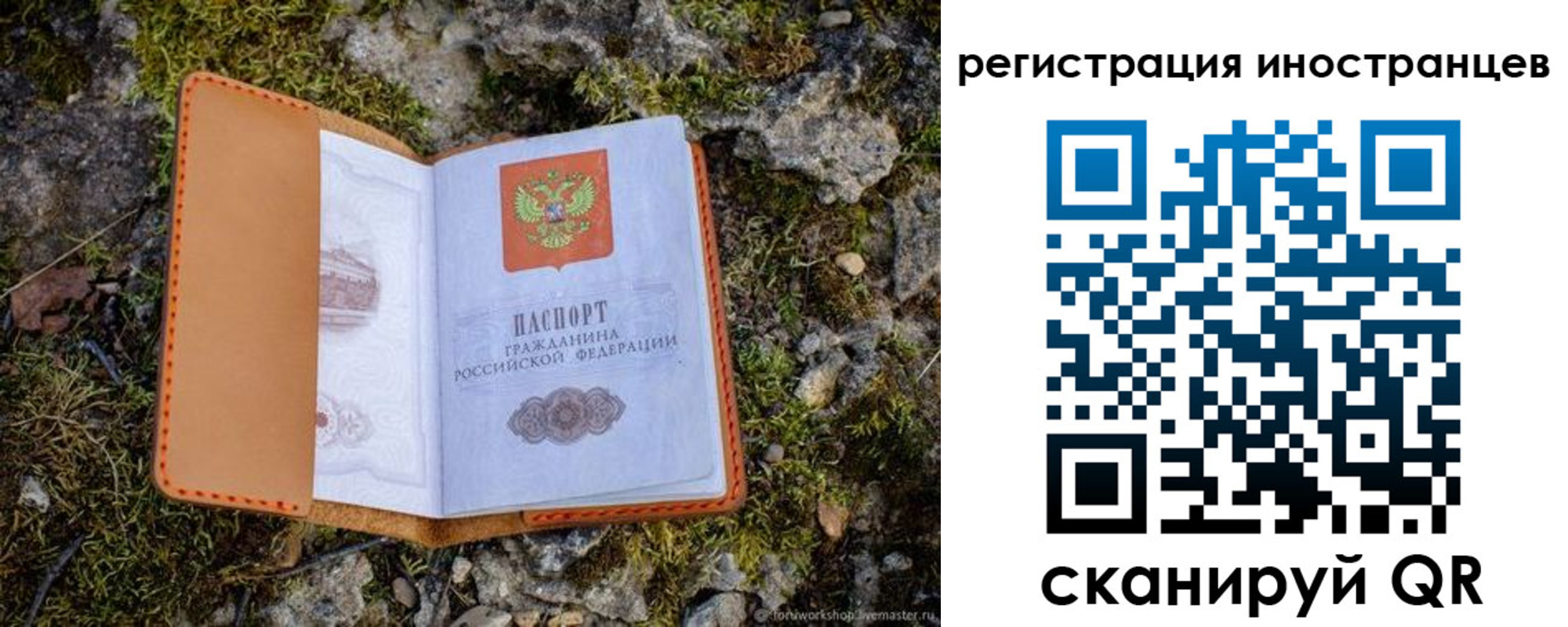 прописка паспорт в Пролетарске